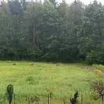 Noclegi Tomaszkowo Apartman Tomaszkowo