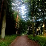 Apartman Noclegi Tomaszkowo