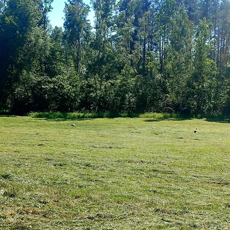 Apartment Noclegi Tomaszkowo