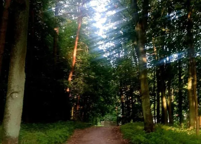 Apartment Noclegi Tomaszkowo